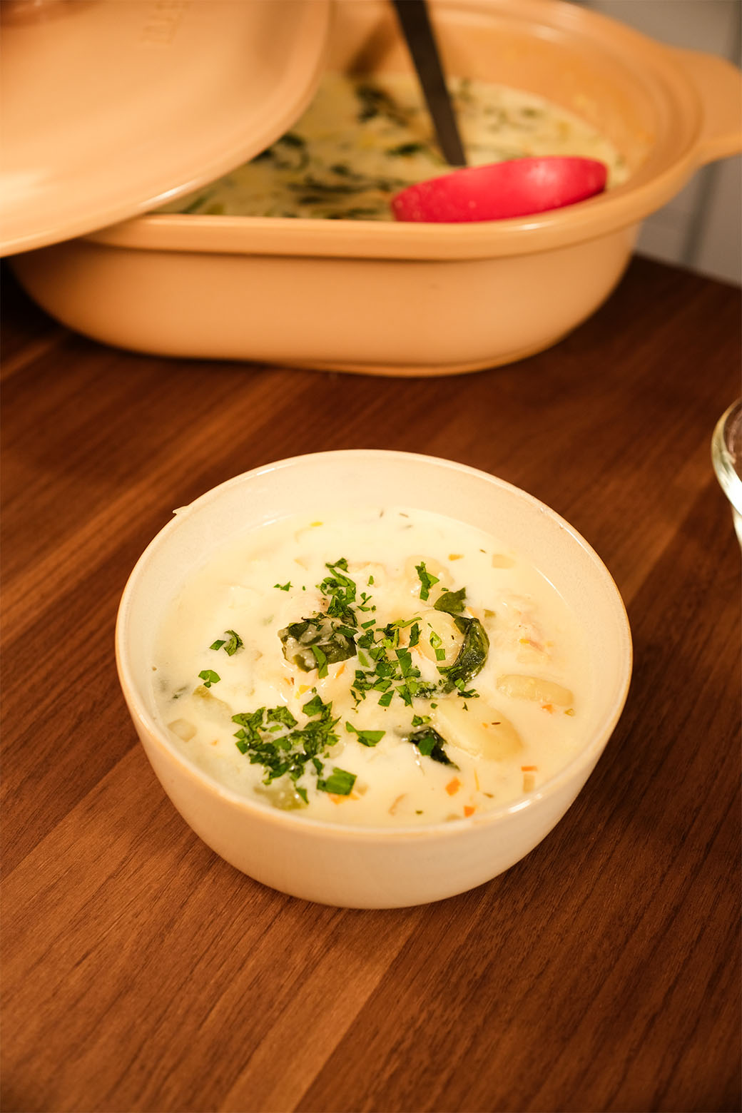 Chicken Gnocchi Soup