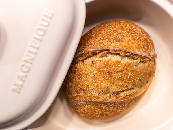 The Must-Have Kitchen Appliance for Busy Moms and Home Cooks