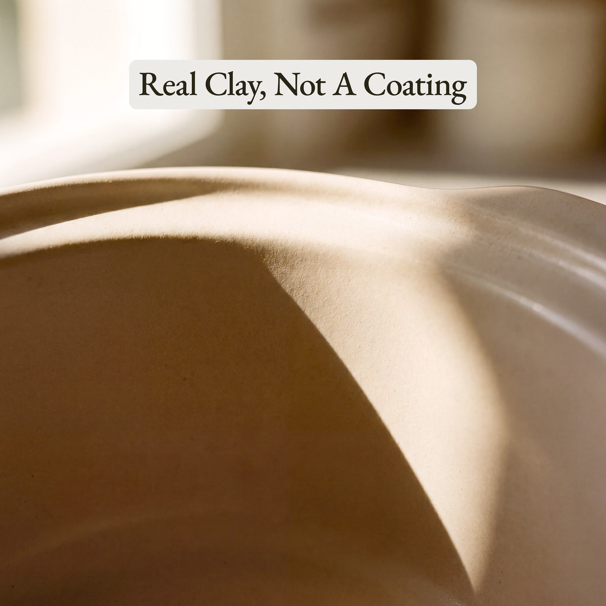 The Claypot Multi-Cooker