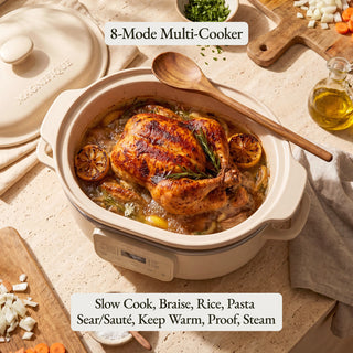 The Claypot Multi-Cooker