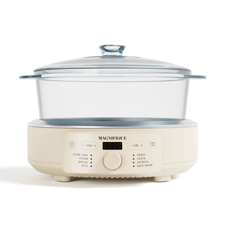 Glass Pot Multi-Cooker with a transparent lid, featured in non-toxic design for versatile cooking options.